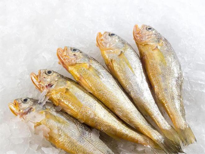 好吃的带鱼竟然在南通pg电子首页中国最