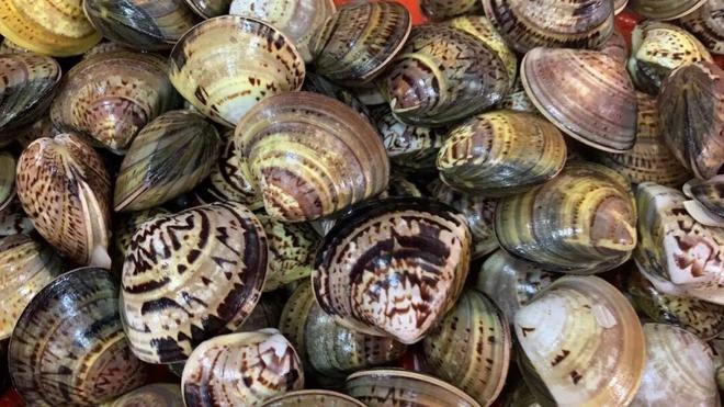 好吃的带鱼竟然在南通pg电子首页中国最(图7)