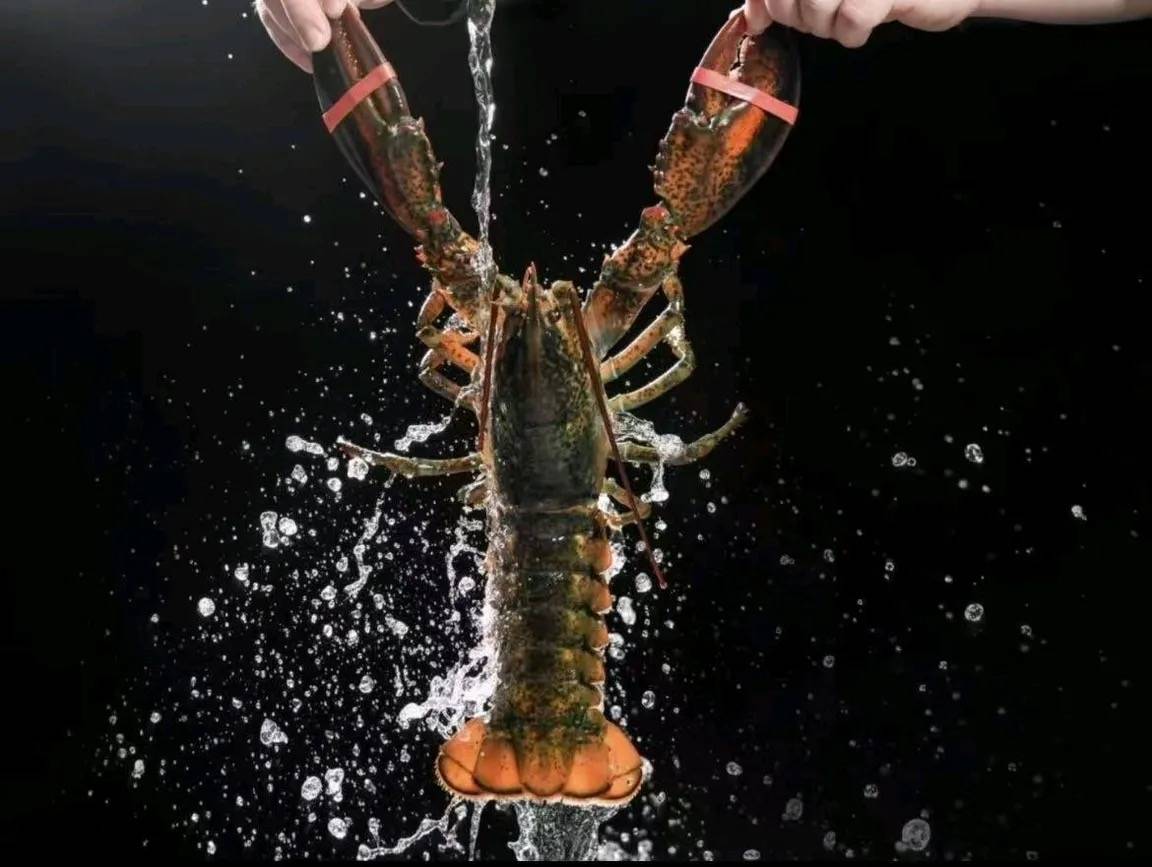 推荐：鲜活现捞现做源头直供品质海鲜餐厅优